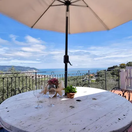 Ulivo * Diano Marina